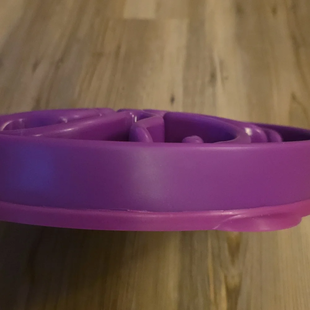 Slow Feeder Dog Food Bowl